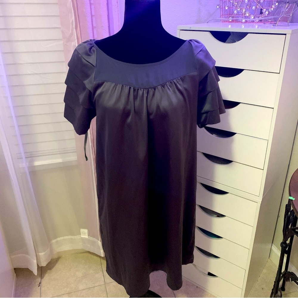 NWT Walter by Walter Gray Silkly Satin Like Shift Dress Size Medi…